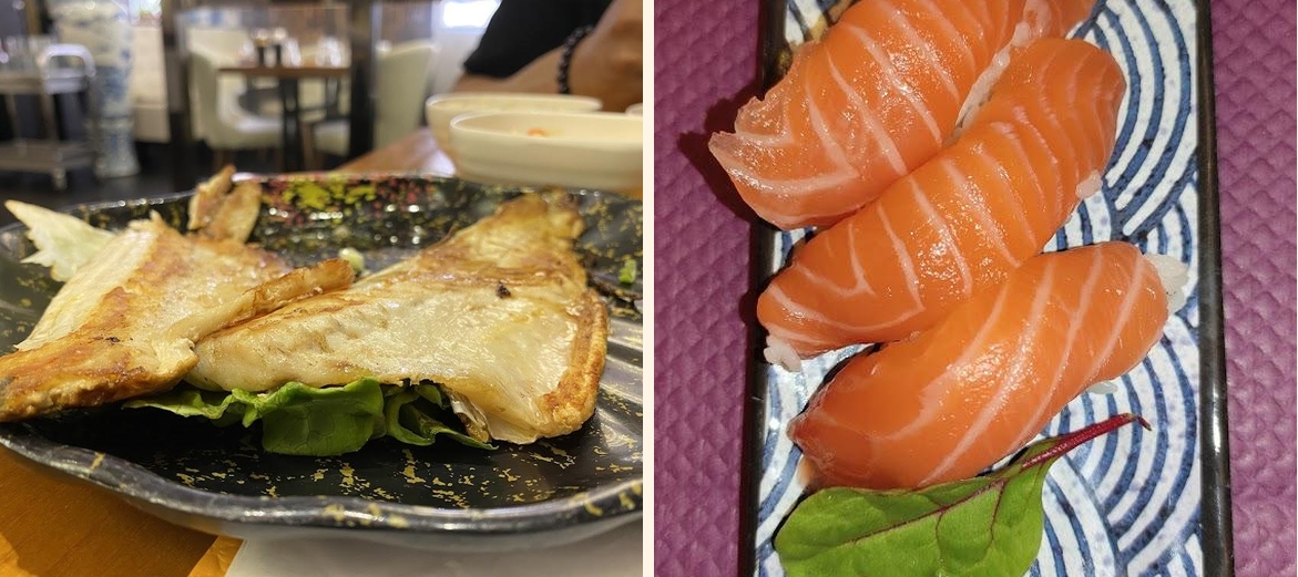 OTO - Gallery Image 7